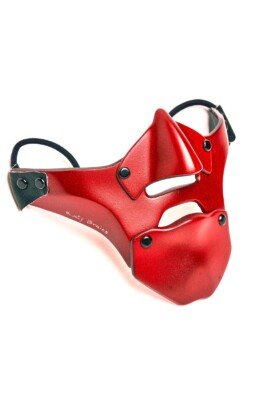 Mororcycle face mask 